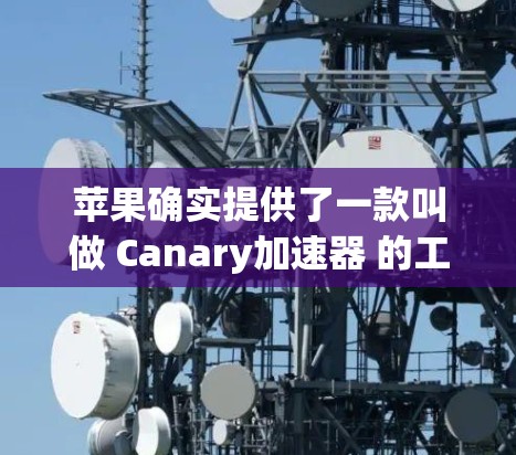 苹果确实提供了一款叫做 Canary加速器 的工具，它是一个免费的加速器软件。你可以通过 apple.apple.com 下载和安装它，然后使用它来加速某些网站或下载应用