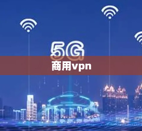 商用vpn