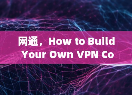 网通，How to Build Your Own VPN Company