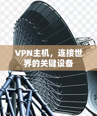 VPN主机，连接世界的关键设备