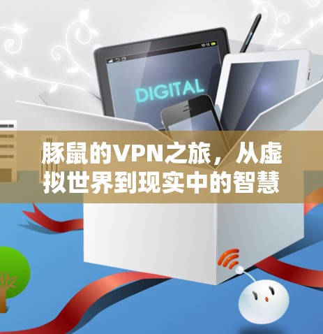 豚鼠的VPN之旅，从虚拟世界到现实中的智慧