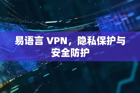 易语言 VPN,隐私保护与安全防护 易语言 VPN,隐私保护与安全防护