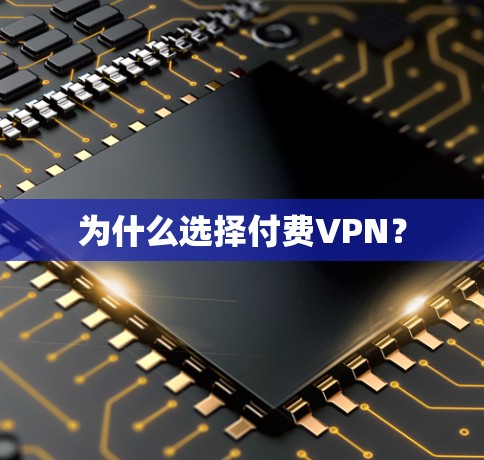 为什么选择付费VPN？