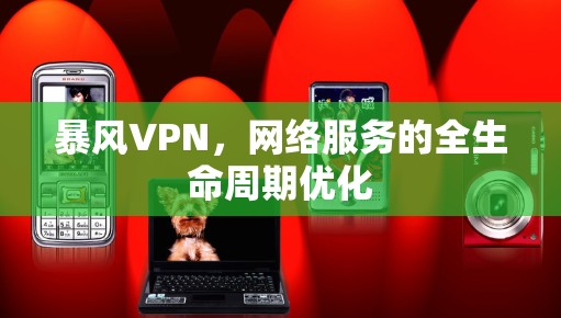 暴风VPN,网络服务的全生命周期优化 暴风VPN,网络服务的全生命周期优化