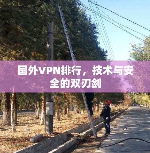 国外VPN排行，技术与安全的双刃剑