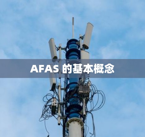 AFAS 的基本概念 AFAS 的基本概念