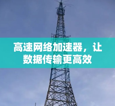 高速网络加速器，让数据传输更高效