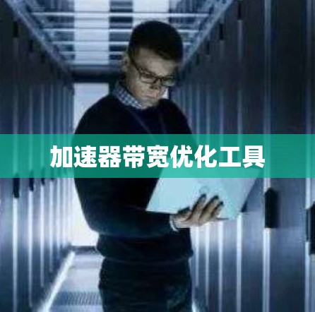 加速器带宽优化工具 加速器带宽优化工具