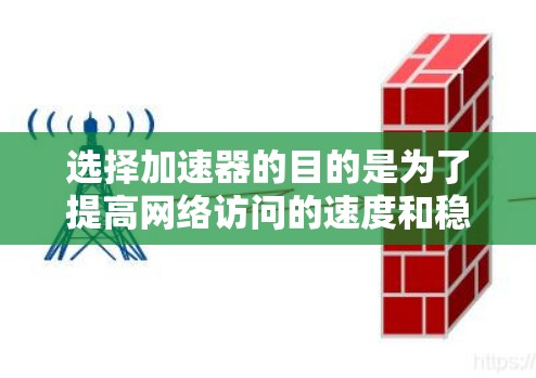 选择加速器的目的是为了提高网络访问的速度和稳定性，尤其是在需要频繁切换设备或多平台运营的情况下。以下是一些加速器推荐和考虑因素