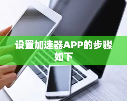 设置加速器APP的步骤如下