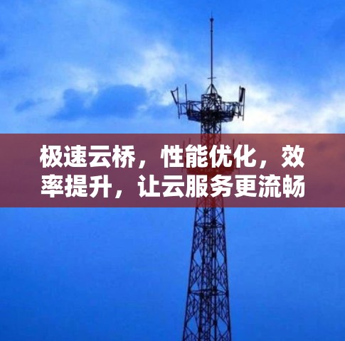 极速云桥，性能优化，效率提升，让云服务更流畅