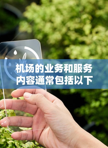 机场的业务和服务内容通常包括以下几个方面 机场的业务和服务内容通常包括以下几个方面