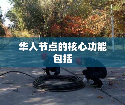 华人节点的核心功能包括