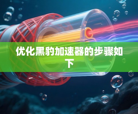 优化黑豹加速器的步骤如下
