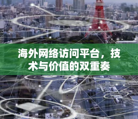 海外网络访问平台，技术与价值的双重奏