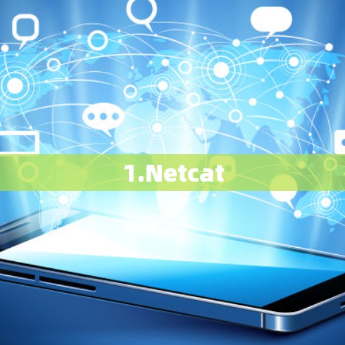 1.Netcat