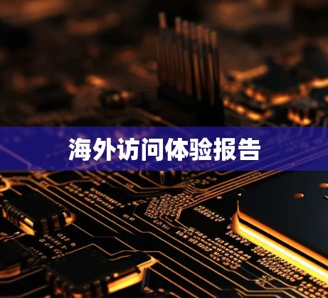 海外访问体验报告