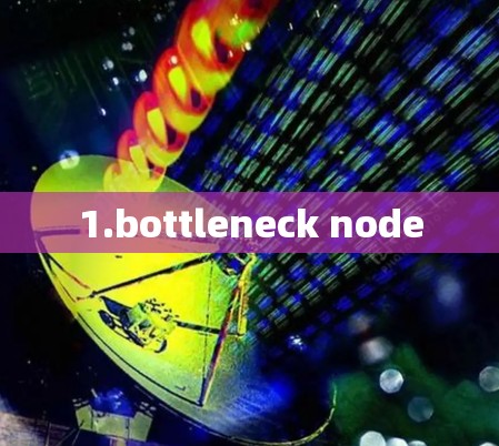 1.bottleneck node