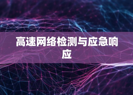 高速网络检测与应急响应