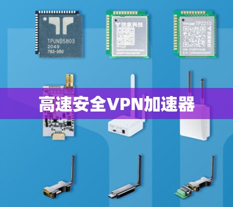 高速安全VPN加速器
