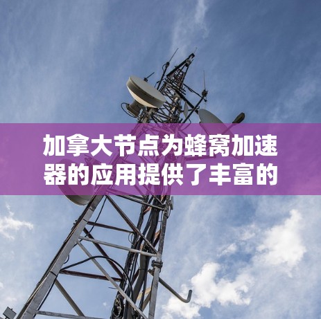 加拿大节点为蜂窝加速器的应用提供了丰富的资源和平台,适合多种科学和教育领域的研究和计算需求。以下是对加拿大节点在蜂窝加速器方面的详细介绍 加拿大节点为蜂窝加速器的应用提供了丰富的资源和平台,适合多种科学和教育领域的研究和计算需求。以下是对加拿大节点在蜂窝加速器方面的详细介绍