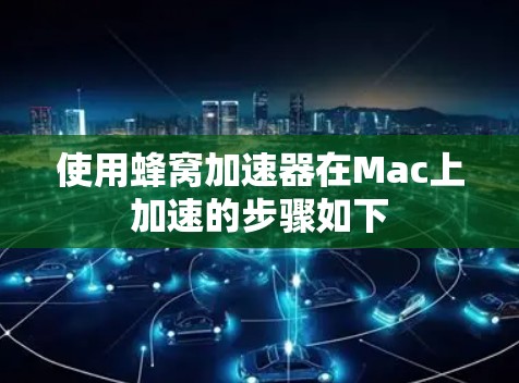 使用蜂窝加速器在Mac上加速的步骤如下