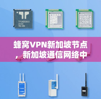 蜂窝VPN新加坡节点，新加坡通信网络中的重要角色