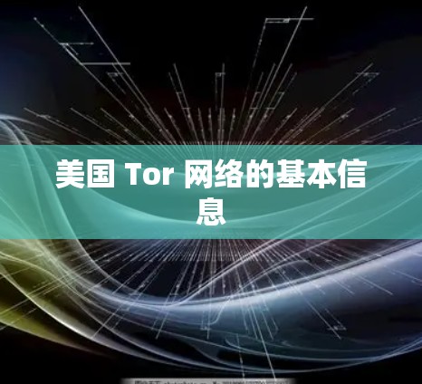 美国 Tor 网络的基本信息