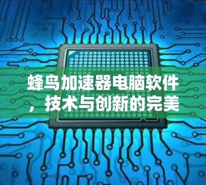 蜂鸟加速器电脑软件,技术与创新的完美结合 蜂鸟加速器电脑软件,技术与创新的完美结合