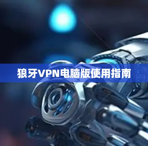 狼牙VPN电脑版使用指南