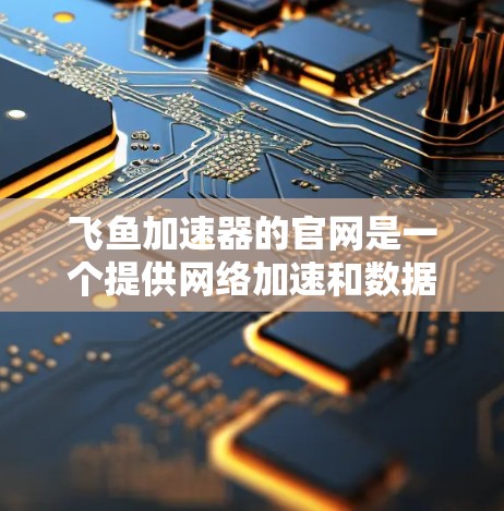 飞鱼加速器的官网是一个提供网络加速和数据传输工具的在线平台。以下是关于其官网的详细分析
