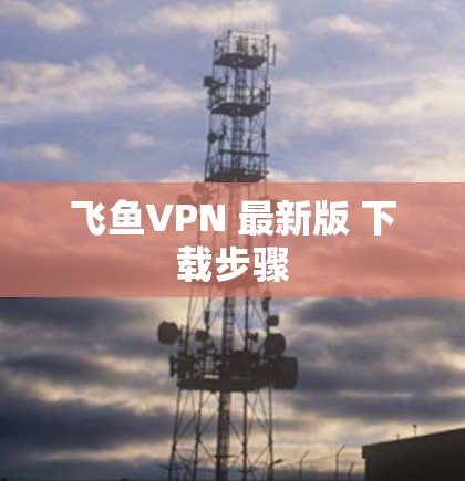飞鱼VPN 最新版 下载步骤