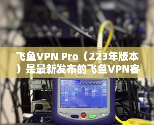 飞鱼VPN Pro（223年版本）是最新发布的飞鱼VPN客户端，针对用户优化了性能和用户体验。以下是关于飞鱼VPN Pro的详细信息