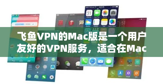 飞鱼VPN的Mac版是一个用户友好的VPN服务，适合在Mac设备上使用。以下是详细的步骤指南