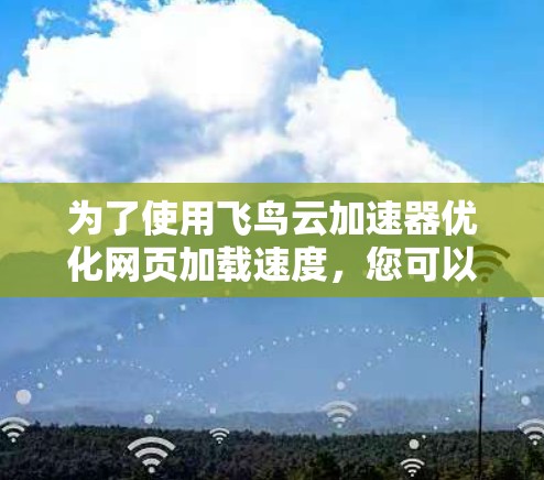 为了使用飞鸟云加速器优化网页加载速度，您可以按照以下步骤进行操作