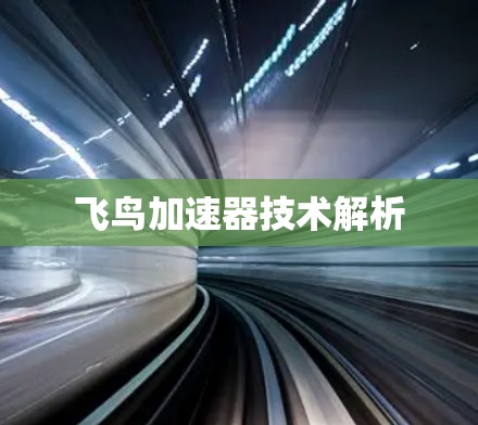 飞鸟加速器技术解析
