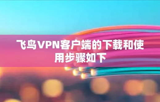 飞鸟VPN客户端的下载和使用步骤如下