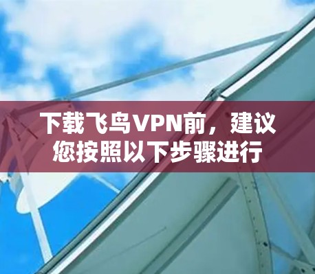 下载飞鸟VPN前，建议您按照以下步骤进行