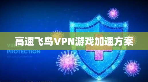 高速飞鸟VPN游戏加速方案