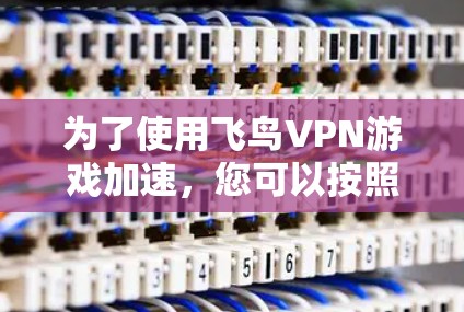 为了使用飞鸟VPN游戏加速，您可以按照以下步骤操作