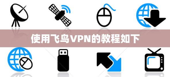 使用飞鸟VPN的教程如下