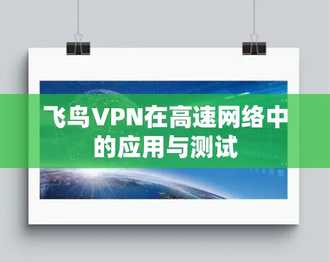飞鸟VPN在高速网络中的应用与测试 飞鸟VPN在高速网络中的应用与测试