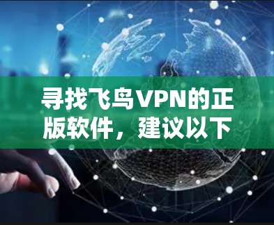 寻找飞鸟VPN的正版软件,建议以下步骤 寻找飞鸟VPN的正版软件,建议以下步骤