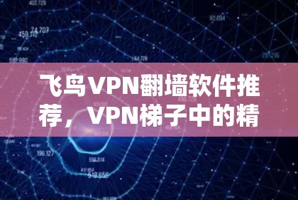 飞鸟VPN翻墙软件推荐,VPN梯子中的精彩纷呈 飞鸟VPN翻墙软件推荐,VPN梯子中的精彩纷呈