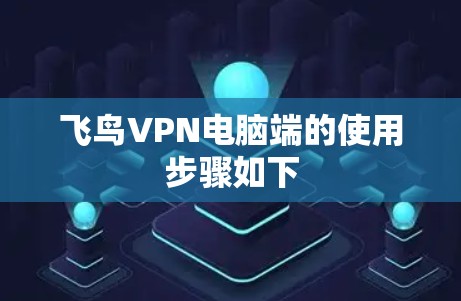 飞鸟VPN电脑端的使用步骤如下 飞鸟VPN电脑端的使用步骤如下