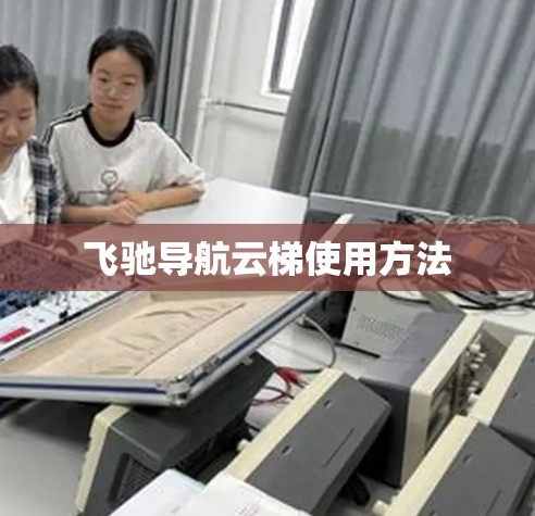 飞驰导航云梯使用方法