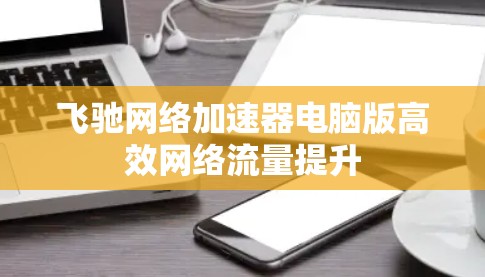 飞驰网络加速器电脑版高效网络流量提升