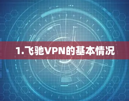 1.飞驰VPN的基本情况