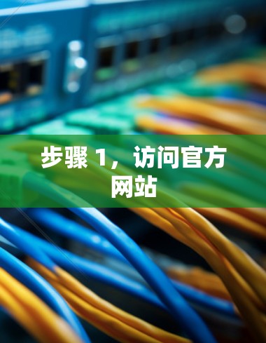 步骤 1，访问官方网站