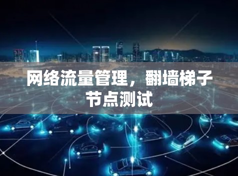 网络流量管理，翻墙梯子节点测试